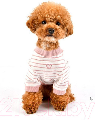 Свитер для животных Pinkaholic Hash / NASD-TS7503-IP-S (розовый)