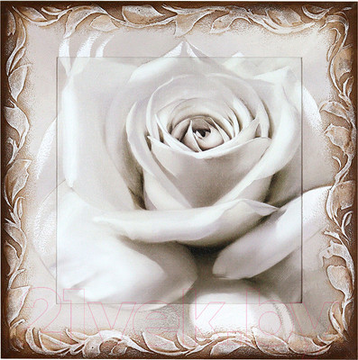 Картина Декарт Нежная белая роза 8Л1742 (в раме)