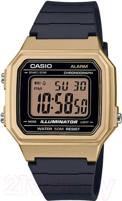 Часы наручные мужские Casio W-217HM-9AVEF