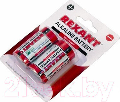 Комплект батареек Rexant 30-1014 (2шт)