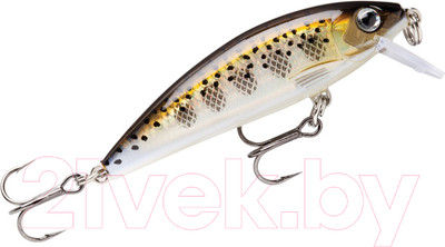 Воблер Rapala X-Rap Countdown / XRCD05-MD