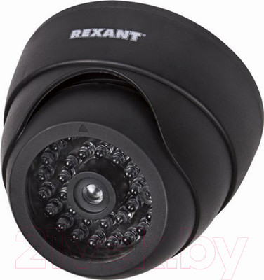 Муляж камеры Rexant 45-0230