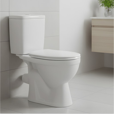 Унитаз напольный Rosa Лира (белый)