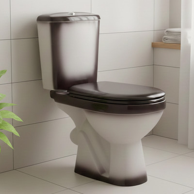 Унитаз напольный Rosa Комфорт (черный)