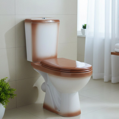 Унитаз напольный Rosa Комфорт (коричневый)