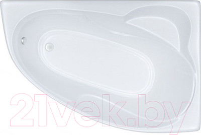 Ванна акриловая Triton Изабель 170x100 L (с каркасом)