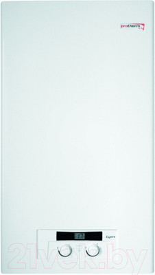 Газовый котел Protherm Lynx НК24