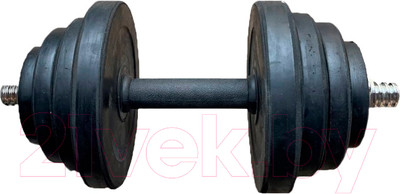 Гантель разборная Gold Cup DB-22 (15кг)