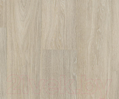 Ламинат Kastamonu Floorpan Black Дуб горный светлый (FP0051)