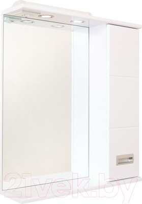 Шкаф с зеркалом для ванной Onika Балтика 67.02 (206704)