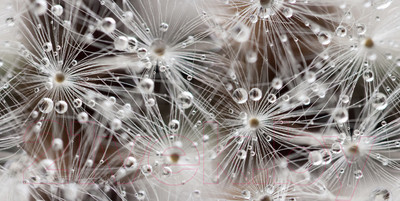 Декоративная плитка Beryoza Ceramica Джерси белый (300x600)