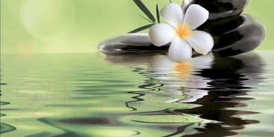 Элемент панно Beryoza Ceramica Ливадия 2 (500x250)