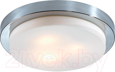 Потолочный светильник Odeon Light Holger 2746/3C