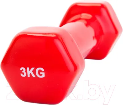 Гантель Bradex SF 0163 (3кг, красный)