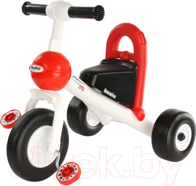 Трехколесный велосипед Полесье Базик / 46208