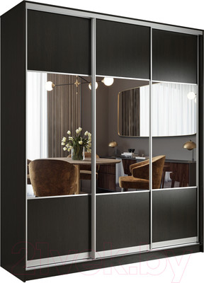 Шкаф-купе Евва 203VS.01 / АЭП ШК.3 02 (венге/серебро)