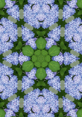 Фотообои листовые Твоя планета Цветочный калейдоскоп (194x272)