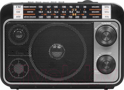 Радиоприемник Ritmix RPR-171