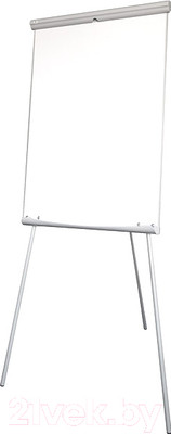 Флипчарт 2x3 EcoBoards TF01 Eco (70x100)