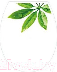 Сиденье для унитаза Bisk Iris Foto 04150 (лист)