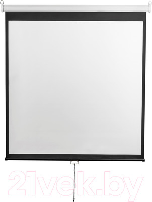 Проекционный экран Digis DSOD-1105 (206x209)