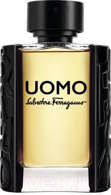 Туалетная вода Salvatore Ferragamo Uomo (100мл)