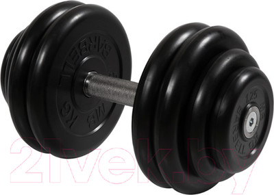 Гантель MB Barbell Профи 28.5кг