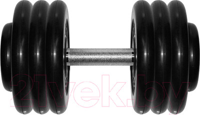 Гантель MB Barbell Профи 36кг