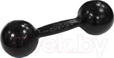 Гантель Титан Литая (10кг)