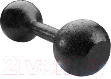 Гантель Титан Литая (15кг)