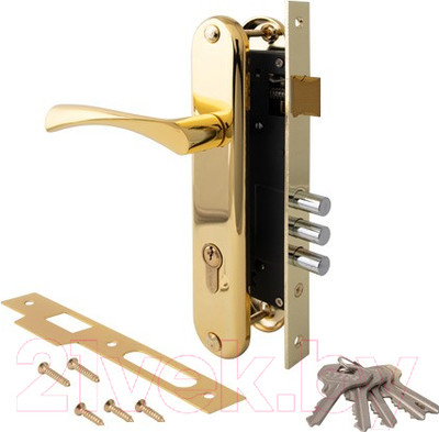 Замок врезной Apecs 2223/60-G