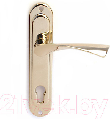 Ручка дверная Apecs HP-85.0123-G