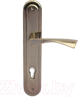 Ручка дверная Apecs HP-85.0423-AB