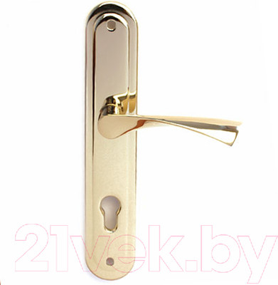 Ручка дверная Apecs HP-85.0423-G