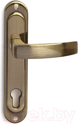 Ручка дверная Apecs HP-85.0101-AB