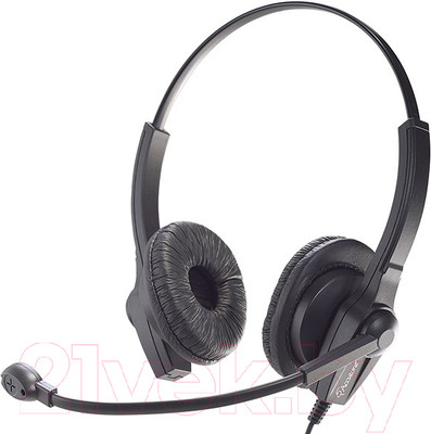 Наушники-гарнитура Accutone UB610 USB