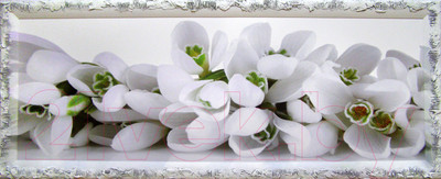 Картина Декарт Белые цветы 8Л0453 (в раме)