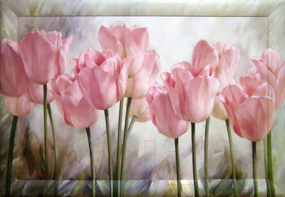 Картина Декарт Розовые тюльпаны 8Л0474 (в раме)