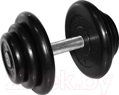 Гантель MB Barbell Профи (18.5кг)
