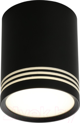 Светильник Omnilux Fortezza OML-100119-12