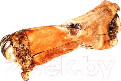 Лакомство для собак Бобик Снобик Копыто / 010701