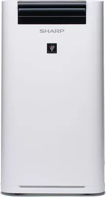 Очиститель воздуха Sharp KCG61RW