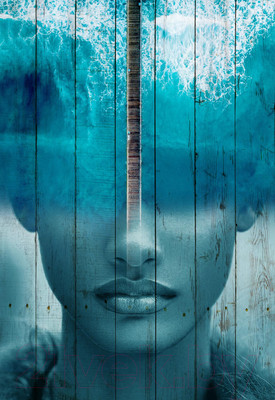 Картина White Wood B112-V-096-160-6.12