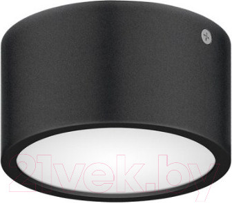 Светильник уличный Lightstar Zolla 380174