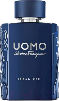 Туалетная вода Salvatore Ferragamo Uomo Urban Feel (100мл)