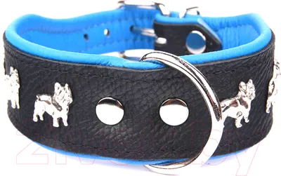Ошейник ZOOleszcz Super French Bulldog 304 (black/blue)
