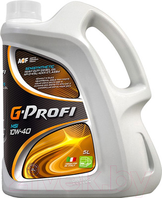 Моторное масло G-Energy G-Profi MSI 10W40 / 253133690 (5л)