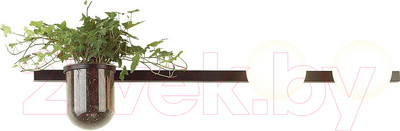 Бра Odeon Light Flower 4681/2W