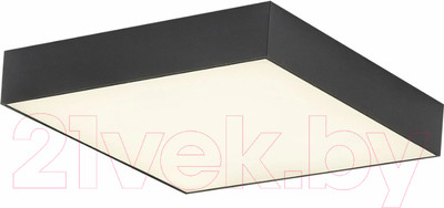 Потолочный светильник Citilux Тао CL712X242N