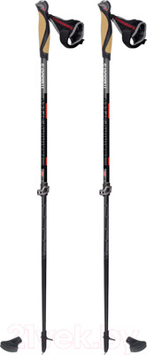 Палки для скандинавской ходьбы Masters Traing Speed / 01N0519
